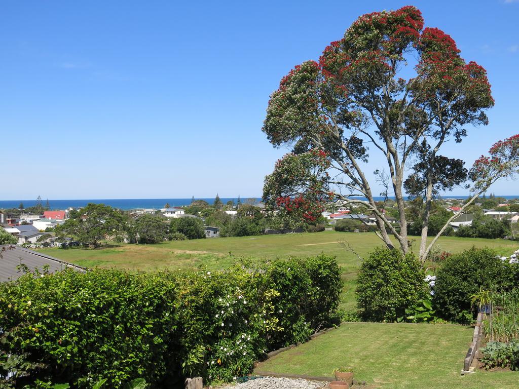 Ferienwohnung Atalaya Waihi Zimmer foto